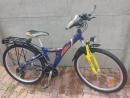 Kolo KTM 
